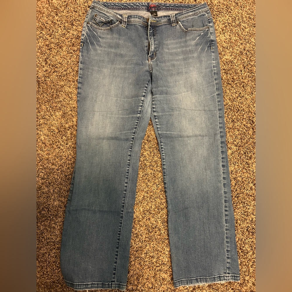 Vintage Lane Bryant Venezia Blue Women's Jeans